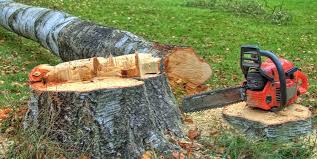 Trusted Villa Ridge, MO Tree Care Experts